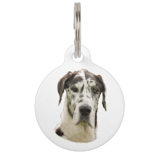 Harlequin Great Dane Pet Portrait Tag