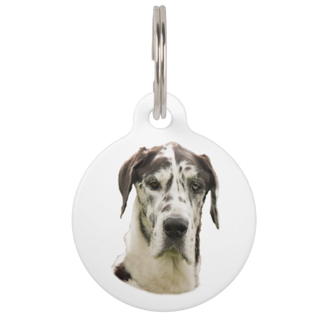 Harlequin Great Dane Pet Portrait Tag (Front)