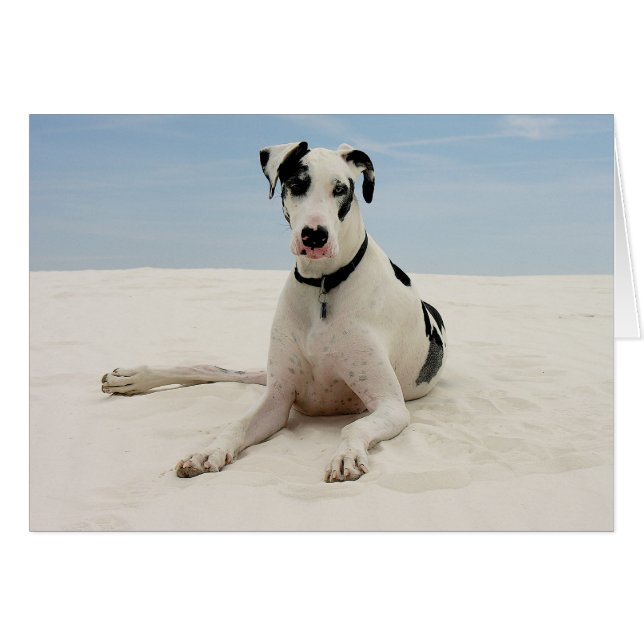 Harlequin Great Dane Puppy Dog Card - Verse (Front Horizontal)