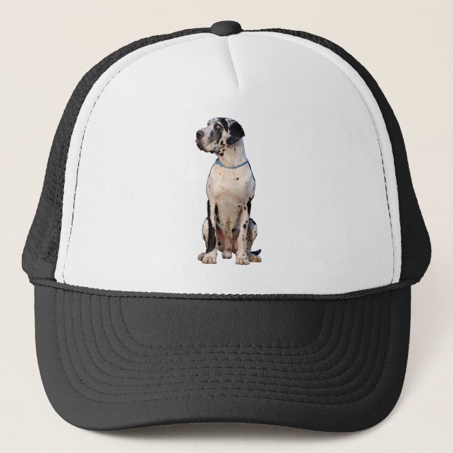 Harlequin Great Dane Trucker Hat (Front)