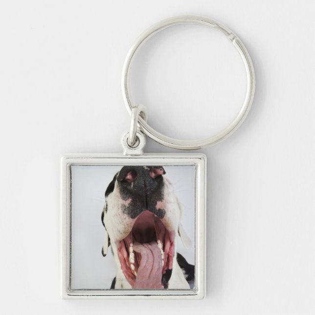 Harlequin Great Dane with open mouth, close-up, Key Ring (Front)