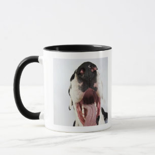 Harlequin Great Dane with open mouth, close-up, Mug