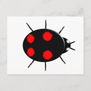 Harlequin Ladybird Postcard