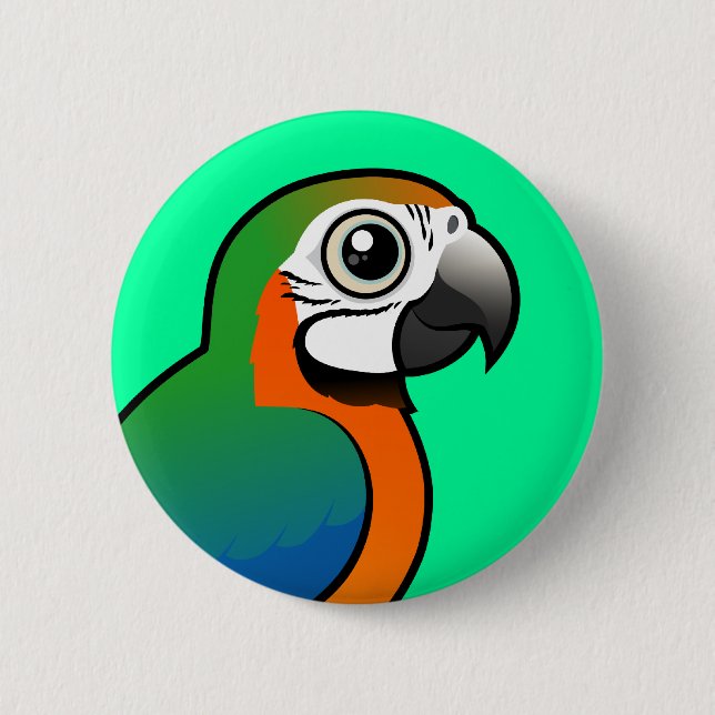 Harlequin Macaw 6 Cm Round Badge (Front)