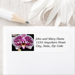 Harlequin Moth Orchid Floral Return Address Label