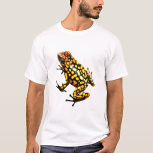 Harlequin Poison Dart Frog T-Shirt
