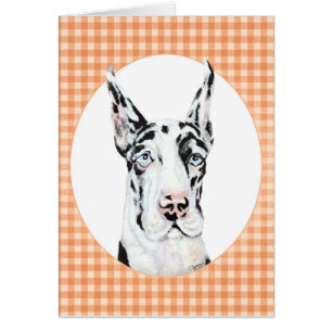 Harlequin Pup Peach