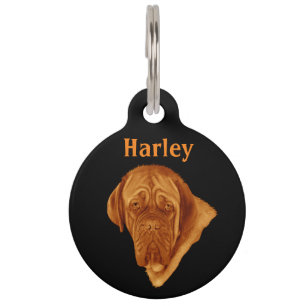 "Harley" Dog Pet Tag, Tag