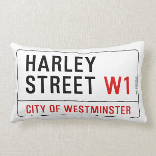 Harley Street Lumbar Cushion