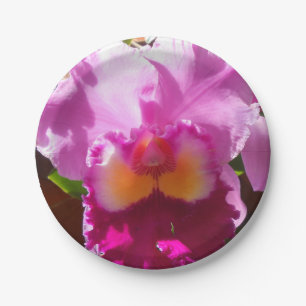 Harlinde Paper Plate