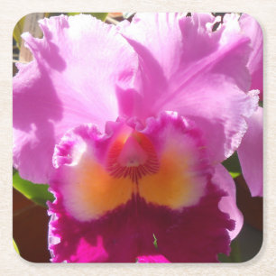 Harlinde Square Paper Coaster