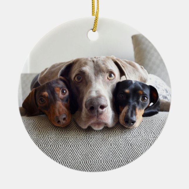 Harlow, Indiana and Reese Ceramic Tree Decoration (Front)
