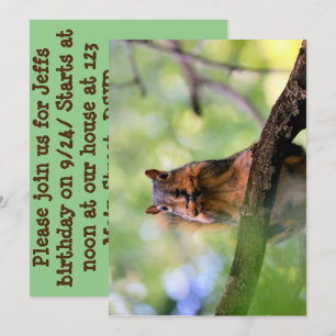 Harmonica squirrel invitation