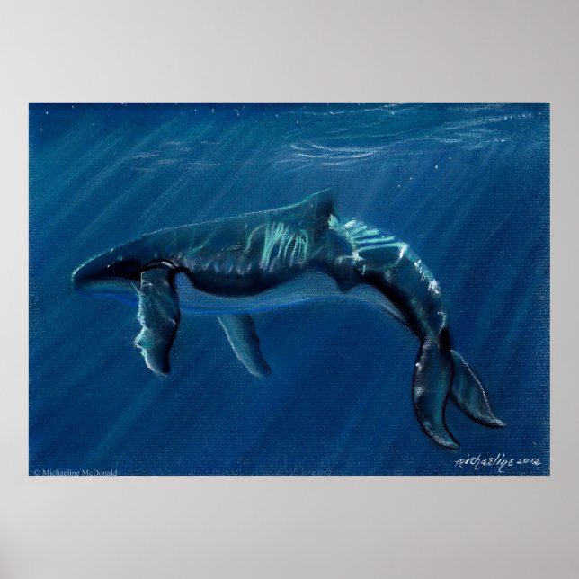 Harmonious Humpback Whale Canvas Print (Front)