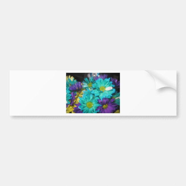 Harmony Bumper Sticker (Front)