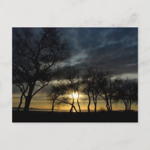 HARMONY OF DAY AND NIGHT POSTCARD