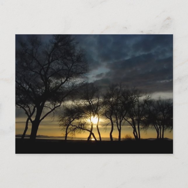 HARMONY OF DAY AND NIGHT POSTCARD (Front)