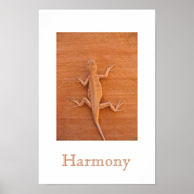 Harmony Poster (Front)