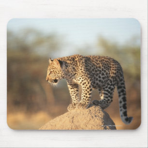 Harnas Wildlife Sanctuary, Namibia Mouse Pad