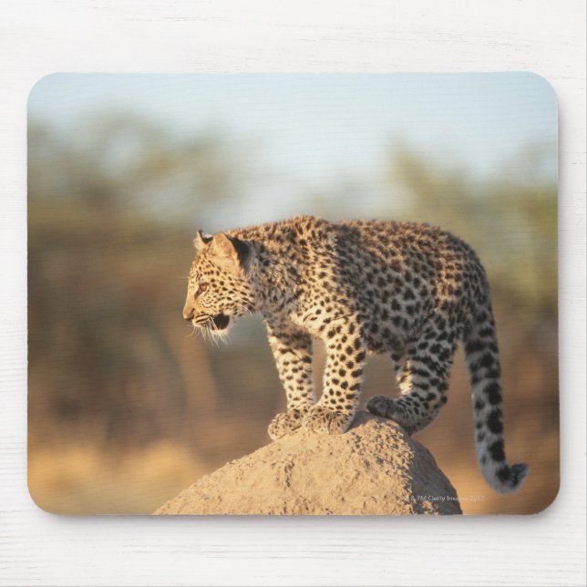 Harnas Wildlife Sanctuary, Namibia Mouse Pad (Front)
