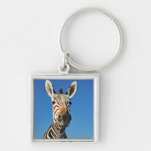 Harnas Wildlife Sanctuary, Namibia, Southern Key Ring