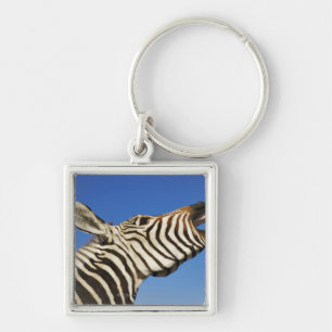 Harnas Wildlife Sanctuary, Namibia, Southern Key Ring