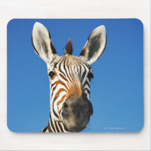 Harnas Wildlife Sanctuary, Namibia, Southern Mouse Pad