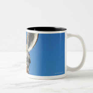 Harnas Wildlife Sanctuary, Namibia, Southern Two-Tone Coffee Mug