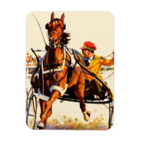 Harness Race
