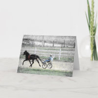 Harness Racing