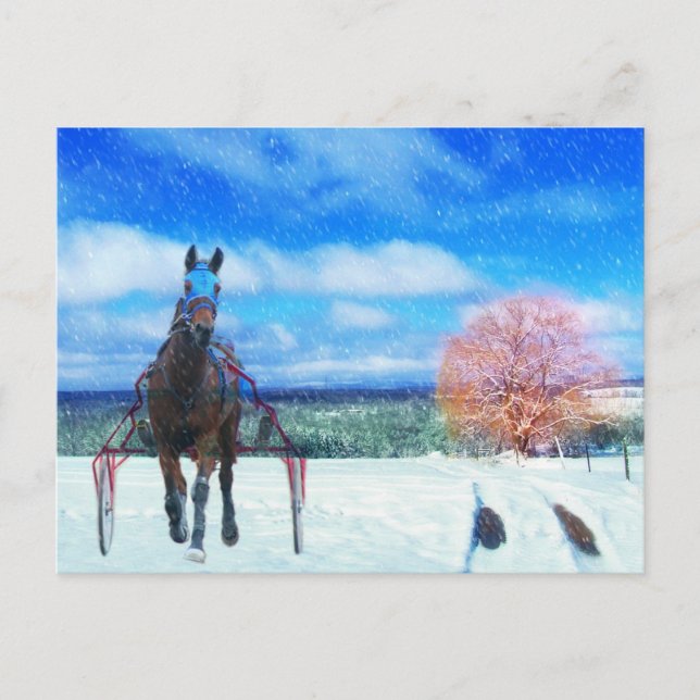 Harness Racing Horse Holiday Card (Front)