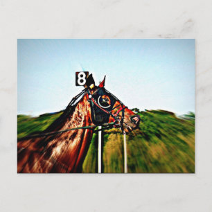 Harness Racing Post Card