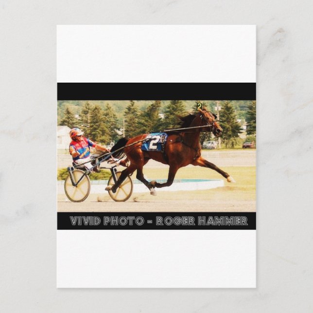 Harness Racing Postcard (Front)