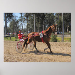 Harness racing Print