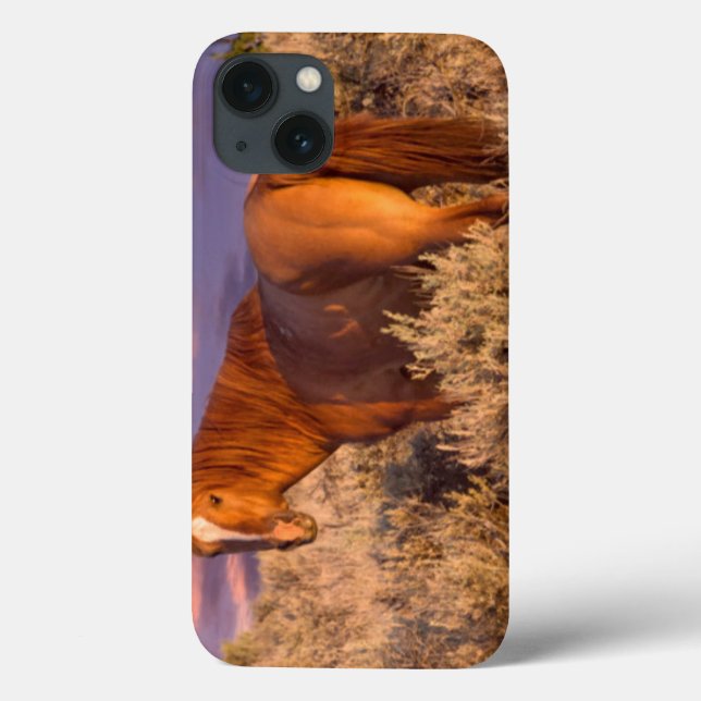 Harney County Wild horse stands alert Case-Mate iPhone Case (Back)