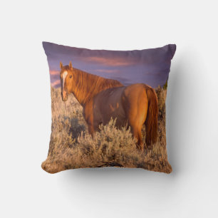 Harney County Wild horse stands alert Cushion