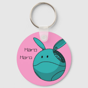 haro haro key ring