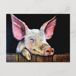 Harold (Steptoe pig) Postcard