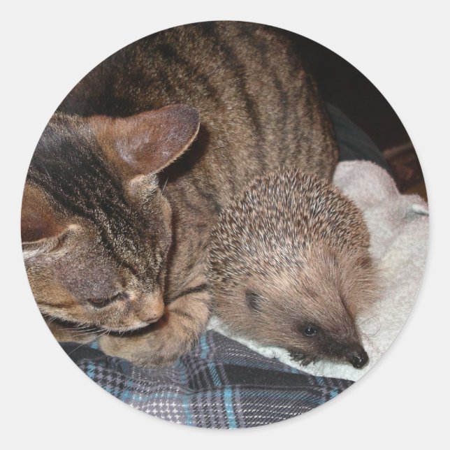 Harold The Hedgehog Sticker (Front)