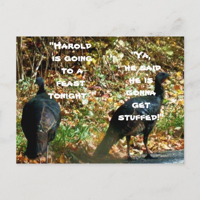 HAROLD THE TURKEY GETS STUFFED postcard (Front)