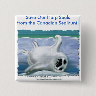 HARP SEAL BABY 15 CM SQUARE BADGE