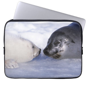 Harp Seal Mother with Pup Laptop Sleeve
