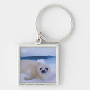 Harp Seal North America, Canada, Quebec Key Ring