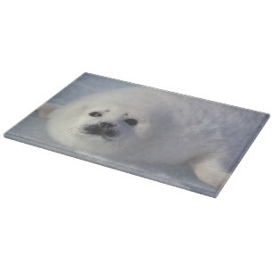 Harp seal Phoca groenlandica) A week-old harp Cutting Board
