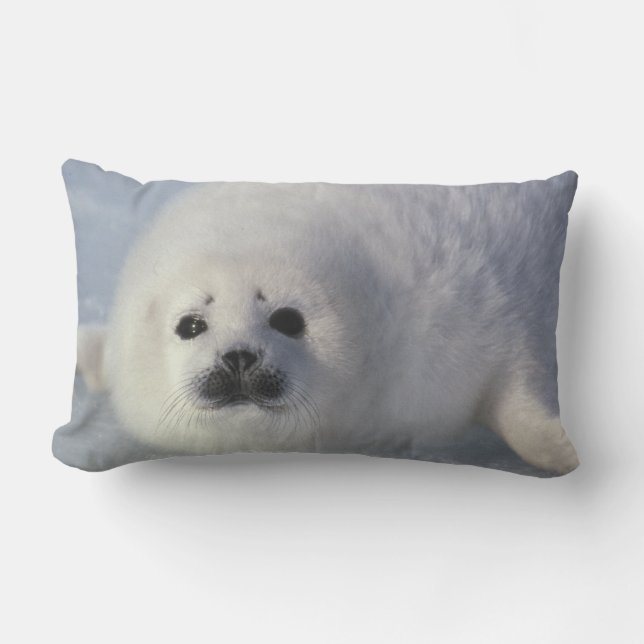 Harp seal Phoca groenlandica) A week-old harp Lumbar Cushion (Front)