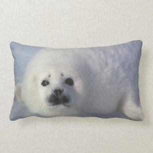 Harp seal Phoca groenlandica) A week-old harp Lumbar Cushion