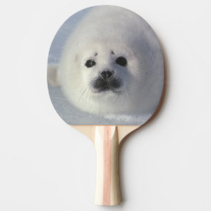Harp seal Phoca groenlandica) A week-old harp Ping Pong Paddle