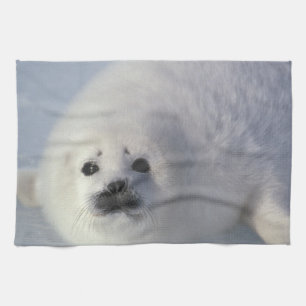 Harp seal Phoca groenlandica) A week-old harp Tea Towel