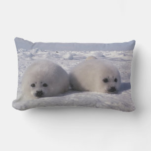 Harp seal (Phoca groenlandica) Harp seal pups Lumbar Cushion