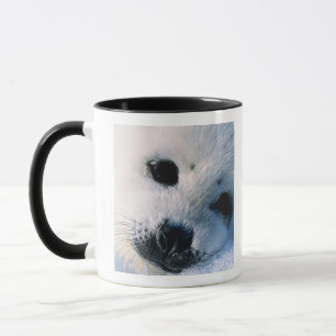 Harp seal pup 2 mug